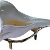 Dakshinavarti Shankh Original Shankh Laxmi Shankh for Pooja Valampuri Shankh Shankh Small Sankh (Size- 5 Inch) with Stand