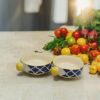 The Decor Lane Hand-Painted Ceramic Bowls with Yellow Knob Handles ? Set of 2-18 CM