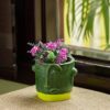 ExclusiveLane 'Abstract Face' Handmade & Handpainted Terracotta Planters for Living Room & Garden Decoration Items Outdoor, Olive Green and Yellow, (L * W * H) = (5.5 * 5.2 * 4.6) Inches, (EL-021-176)