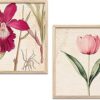 kotart Botanical Wall Art Painting | Wall Frames Office Living Room | Poster With Frame Wall Decoration Painting | Premium Wall Painting For Home Décor | Set of 2 ( 8X8 inch ), Framed)