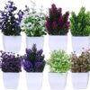 Artificial Plants with Pot|Realistic Looking| Multi Variety |Durable Plastic | No Maintenance | Home Decor | Dimensions: 5 cm X 13 cm (Pack of 8)