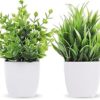 WYTE ORIGIN Artificial Potted Plants, Green Artificial Plastic Eucalyptus Plants Small Indoor Potted Houseplants, Small Faux Plants for Home Decor Bathroom Office Farmhouse. (Set-2)