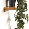 Heart Home Artificial Vine;Pine;Fern;Ivy Plants with Pot Natural Look & Plastic Material Easy Home DÃ©cor with Small Size Pot Size 27 X 75 X 7 Cm, Pack of 1 (Green)
