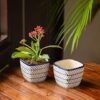 ExclusiveLane Ceramic Planter, Indigo Blue & White, 3.7 Inch, Set of 2