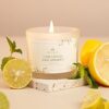 IndCasa Premium SOYA Wax Scented Candle | 100% Natural Soy Wax | Non-Toxic I Smokeless I Long Burning Aroma for Home Decor I Bedroom I Summer & Gifting - Lemon & Mint