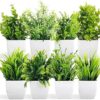 Dekorly Artificial Potted Plants, 8 Pack Artificial Plastic Eucalyptus Plants Small Indoor Potted Houseplants, Small Faux Plants for Home Decor (Set 0F 8)