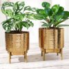 BEHOMA Hammered Metal Indoor Planter for Table Top and Floor | Living Room Drawing Room Balcony Office | Decoration Ideas for Plants| Set of 2 Golden Colour (Plants not Included)