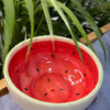 Watermelon Snack Bowl