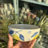 Lemon Hand-painted Snack Bowl