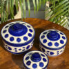 Celestial Blue Bloom Serving Bowls Set with Lid (Set of 3)
