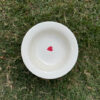 Single Heart Pasta Plate (Pack of 1)
