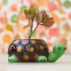 Lasaki Tortoise Big Ceramic for Indoor Plants,Planters,Flower,Outdoor,Balcony,Home,Garden,Office Decor,Succulent Pot(Hand Painted Green Neck)(L:19.5 cm,W:13.5 cm,H:7 cm)(Plants not Included)