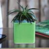 UGAOO Square Ceramic Pot (Small, Diameter 3.5 Inch, Light Green) | Ceramic Planter for Indoor Outdoor Plants | Flower Pot for Home, Office, Balcony, Garden Decor