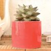 UGAOO Pipe Red Ceramic Pot - Diameter 3.2 Inch | Ceramic Planter Pot for Indoor Outdoor Home, Garden, Office Decor | Flower Pot for Living Room, Balcony