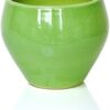 Goleaf Apple Ceramic Pot- Light Green for Indoor/Outdoor/Home/Office Plants-(Size-15X15X15)