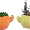 Wonderland (Set of 2 Cactus Shape Ceramic Pot/Planter Without Plant for Garden Indoor Home & Outdoor (Yellow & Orange)