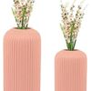 oodlesfly Ceramic planters pots for Indoor Outdoor Home, Garden Office Decor Balcony (Pack of 2) (Pink)