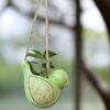 Garden Aura Ceramic Hanging Pots for Plants- Decorative Bird Planters for Balcony, Garden, Living Room, Indoor Plants, Outdoor Plant, Window Hanging, Home Decor (Green)