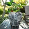 Niyara Stylish Ceramic Pots for Indoor Plants,Succulent,Outdoor,Balcony,Home,Garden,Office Size -Large 8 inches (Grey)