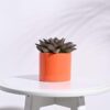 UGAOO Pipe Orange Ceramic Pot - Diameter 3.2 Inch | Ceramic Flower Pot for Home, Garden, Office | Indoor Outdoor Table Top Planter for Balcony, Patio Decor