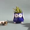 Jimkia Ceramic Pot Big Eye Owl Planter Pot, Table Desk Decor Flower Pot, Indoor/Outdoor Plant Container for Home & Garden Area Decor
