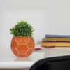 Purpledip Ceramic Football Shape Planter: Indoor Outdoor Flower Pot Table Decor (12556A)