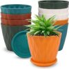 SRUNISH Set of 2, 6.3 Inch Flower Pots for Home Decoration, Indoor Plant Pots, Gardening Pots, Pots for Plants, Plastic Flower Pots for Garden Plants (Multicolors)