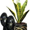 Lasaki Couple Black Gold Ceramic Pots for Indoor Plants, Planters, Flower, gamla, Outdoor, Balcony, Home, Garden, Office Decor, Succulent Pot(L - 16 X W - 10 X H - 14.5 cm)(Plants not Included)