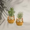 Garden Aura Set of 2 Wise Owl Planter - Decorative Ceramic Flower Pot for Indoor/Outdoor, Home, Living Room, Garden Decor (Yellow, 4 x 4 x 4.5 Inches)