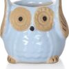 SOLIDA Ceramic Pots for Plants Shape Ceramic Flower Pot Indoor Outdoor Planter Handicraft Plant Container Set Multipurpose Pot for Home Garden & Office Décor Owl Shape Big Eyes Aqua (Pack of 1)