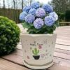 Garden Art Ceramic Plant Pots (16.7x16.7x16.5) Flower Pots with Drainage Holes,Round Indoor Pot for Plants Ceramic Planters with Saucer,Outdoor Garden Pots (GA67218-OWF)
