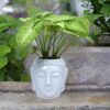 Garden Aura Buddha Ceramic Pot for Plants- Buddha Planter for Living Room, Indoor, Outdoor, Balcony, Home Decor, Garden, Office- Decorative Flower Pots/Plant Container (White, 5 Inches Height)