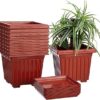 Amazon Brand - Solimo Square Pots for Plants with Bottom Tray | Indoor and Outdoor Flower Pot for Home/Office/Table/Garden/Balcony Decoration | 10 inch (Set of 10)
