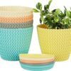 Amazon Brand - Solimo Round Pots for Plants with Bottom Tray|Indoor and Outdoor Flower Pot for Home/Office/Table/Garden/Balcony Decoration|7 inch (Set of 5, Multicolor)