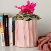Medhini by Earth Store 6.6 Inch Pink Frontier Ceramic Planter for Indoor Outdoor Plants, Living Room, Garden, Balcony, Home Decor Flower Pot | Planter Set of 1 (Plant Not Included)