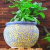 Niyara Drop Texture Designer Handmade Handi Ceramic planters Pot for Indoor Outdoor Home,Garden Office Decor Balcony Flower (Blue)