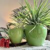 Niyara 8 & 6 Inches Combo Stylish Ceramic Pots for Indoor Plants,Succulent,Outdoor,Balcony,Home,Garden,Office Size -Large 8 & 6 inches (Green Apple Combo)