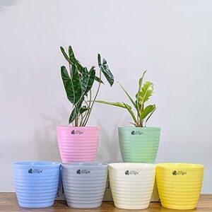 Little Jungle Decor Pots (Mix of 6, Decor 7 (Pack of 6))